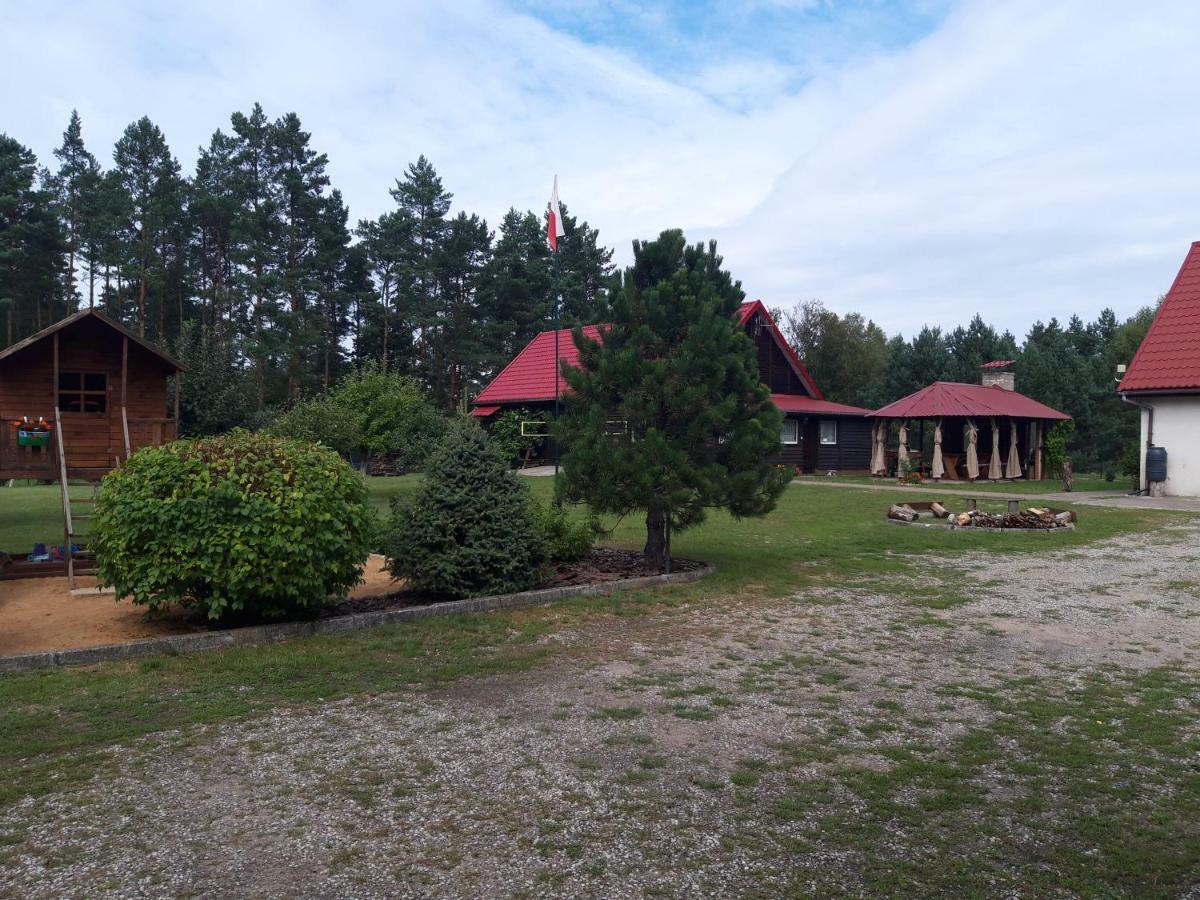 Pokoje W Lesie Miłomłyn Bagian luar foto